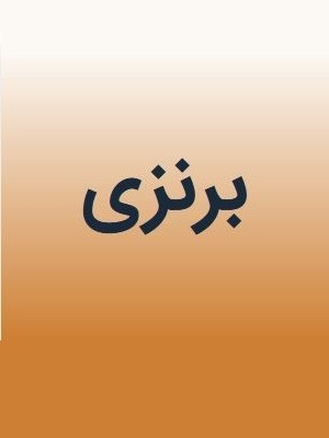 طراحی وب سایت - برنزی